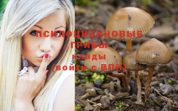ALPHA-PVP Баксан