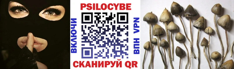 Псилоцибиновые грибы мухоморы  Теберда 
